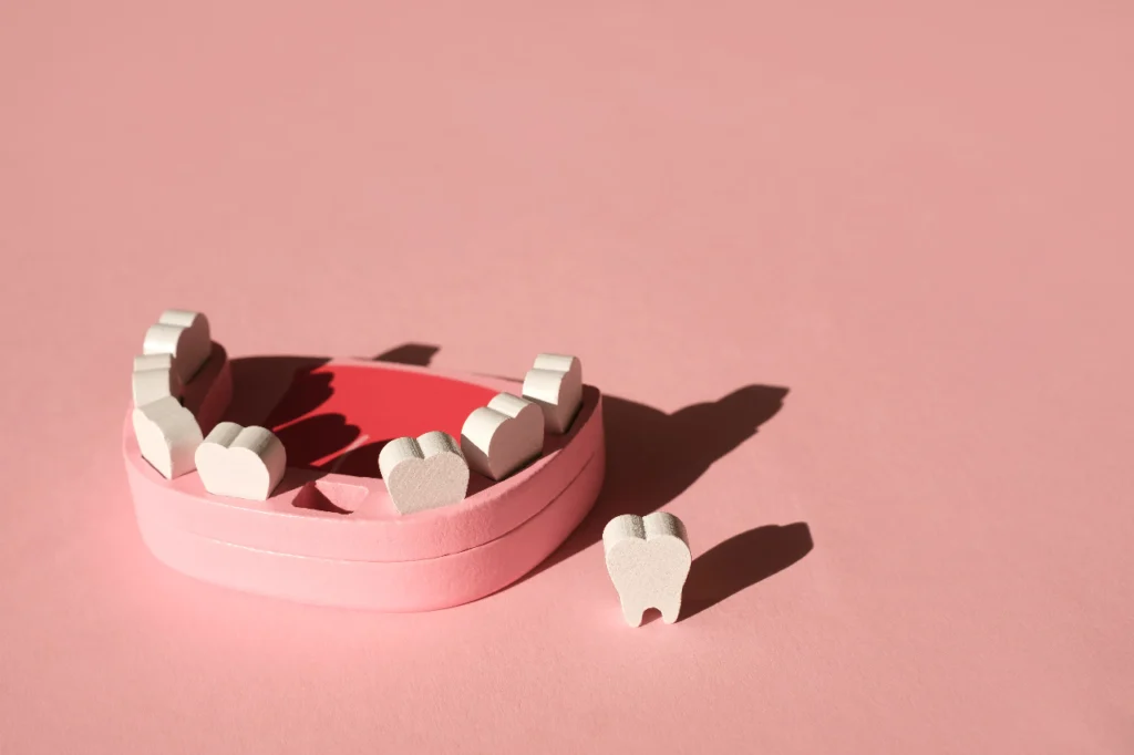 zirconia disks