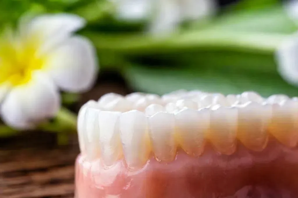 dental zirconia
